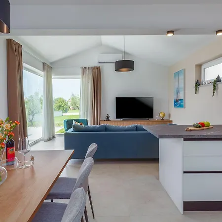 Neue Und Hundefreundliche Mit Panorama-meerblick, Privatpool, Grillbereich, Babybett, Waschmaschine Prázdninový dům Višnjan